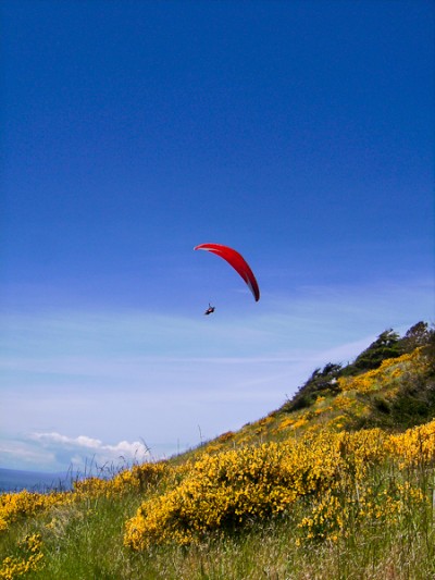 whidbey island, washington paraglider