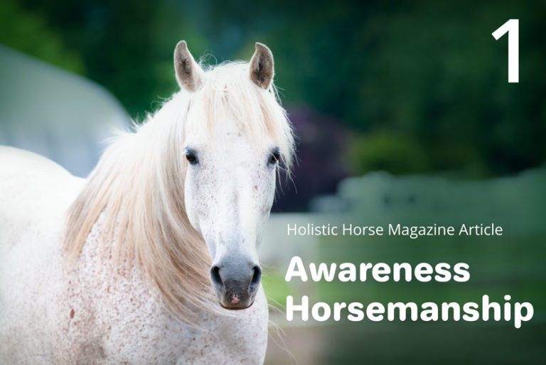 Awareness Horsemanship Part I