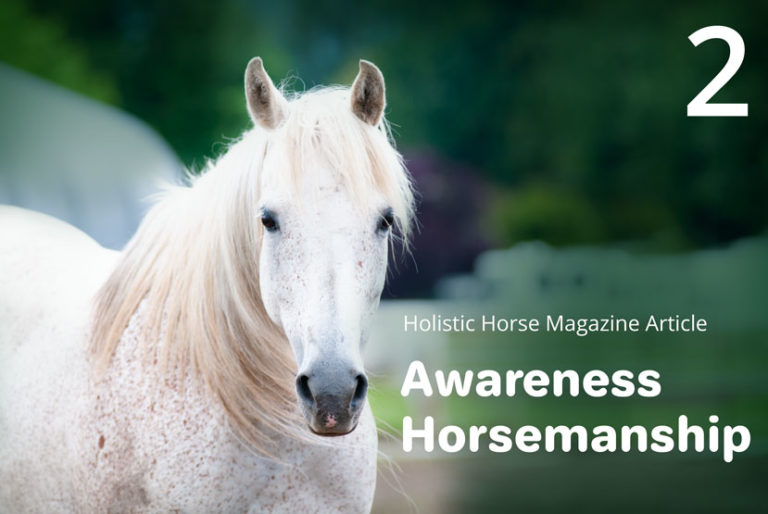 Awareness Horsemanship Part II