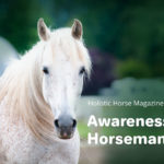 Awareness Horsemanship Part III