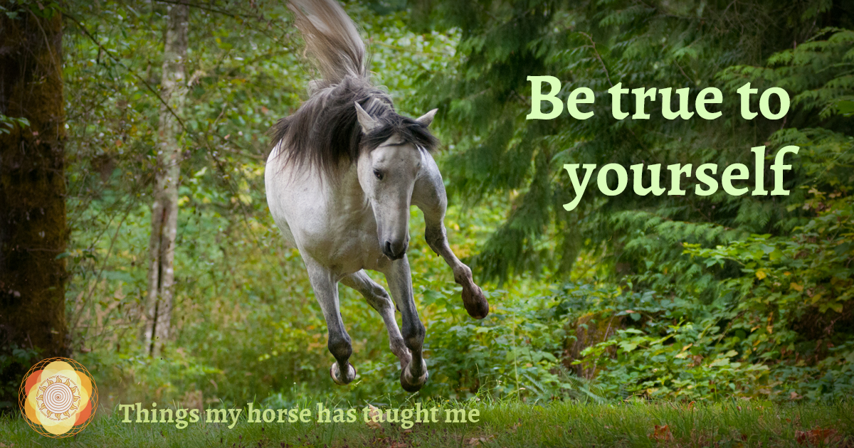 Be true to yourself! Self reflection is asking yourself what you really want